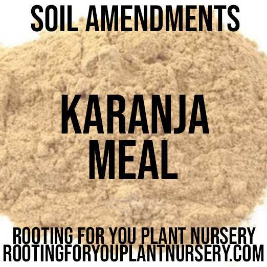 Karanja Cake Karanja Meal Soil Amendment