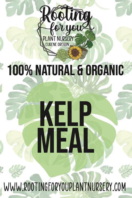 Kelp Meal Soil Amendment