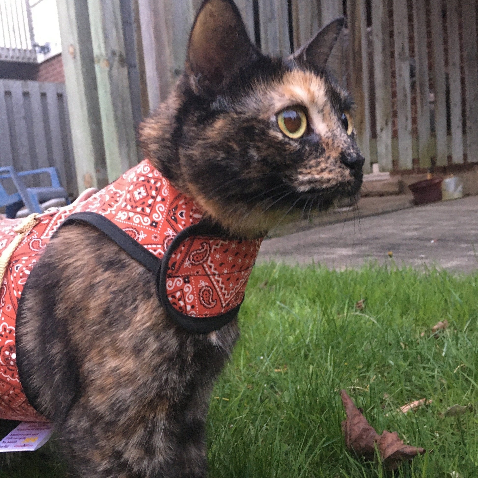 Cute Kitty Holster cat harness by Crazy K Farm Pet and Poultry, made in USA, with adjustable straps and soft fabric for comfortable wear.