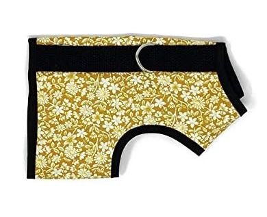 Cute kitten wearing Crazy K Farm Pet and Poultry Kitty Holster cat harness made in the USA, featuring adjustable straps and secure fit.