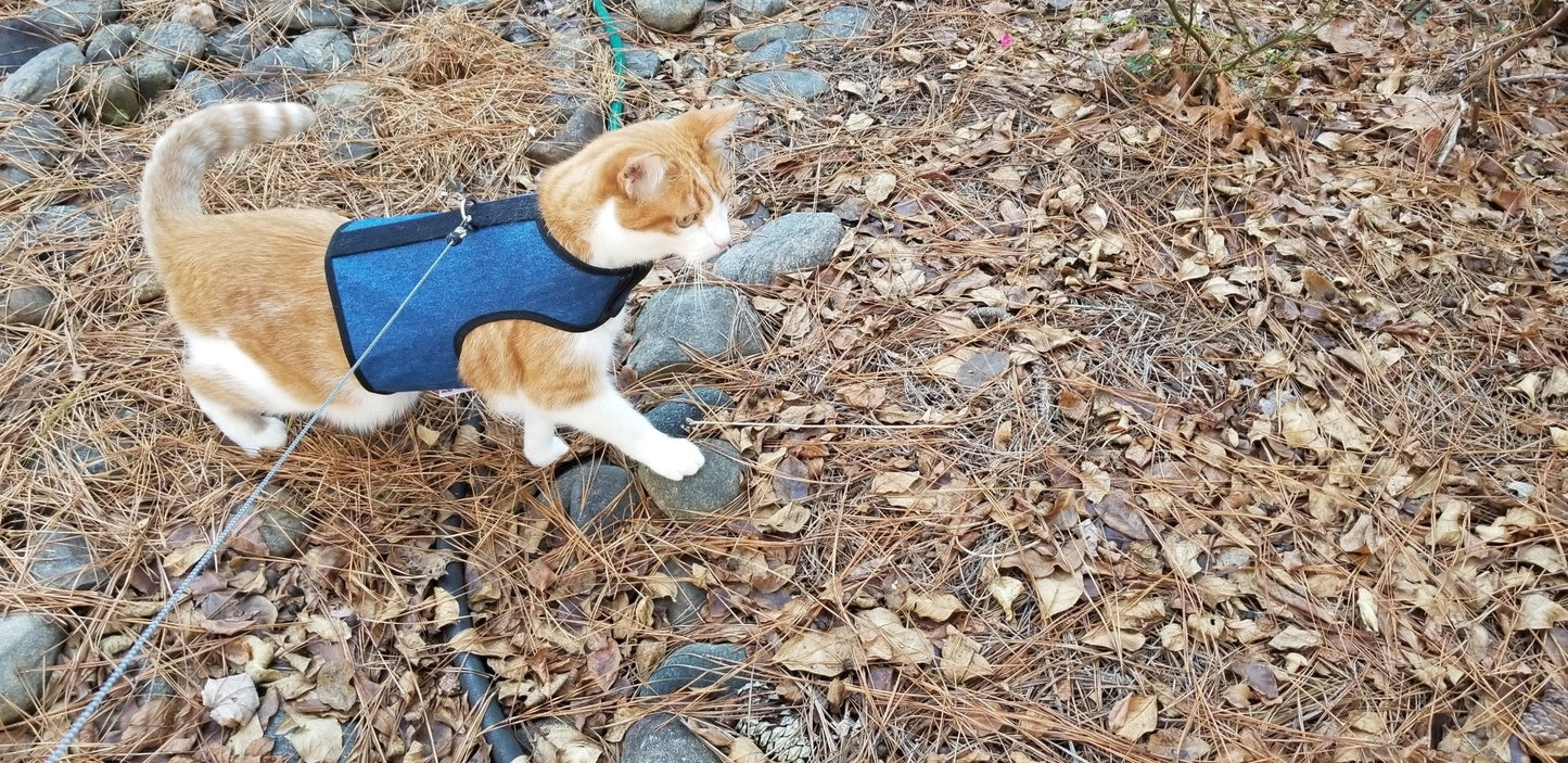 Kitty Holster Cat Harness (Made in USA) - Blessings Grow Meadows