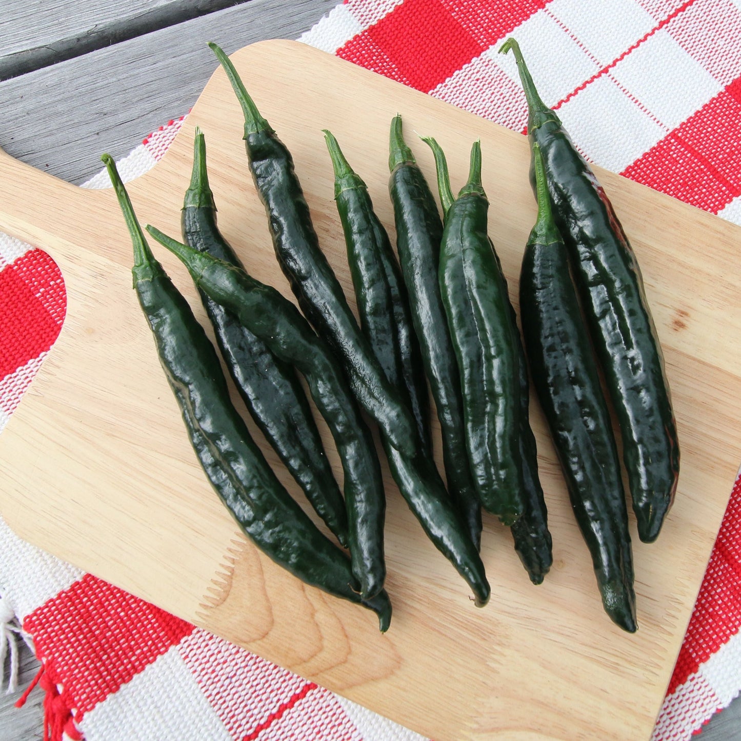 Pasilla Bajio Pepper - Blessings Grow Meadows