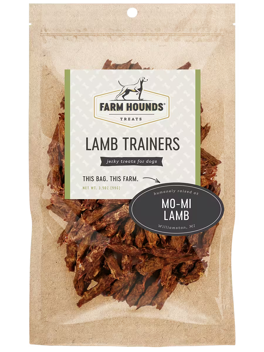Lamb Trainers - Farm Hounds ~ Blessings Grow Meadows