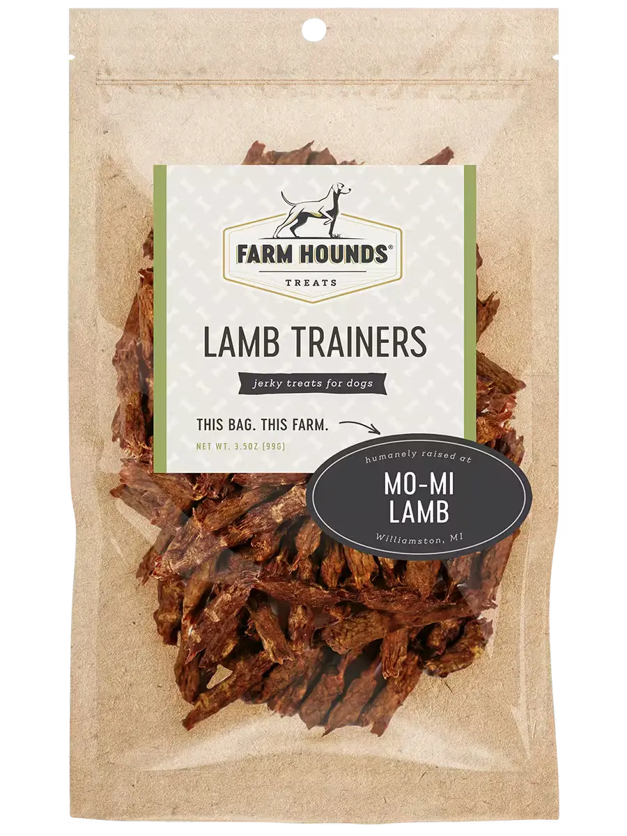 Farm Hounds Lamb Trainers, soft and comfortable trainers for kids, featuring a cute lamb design on the front.