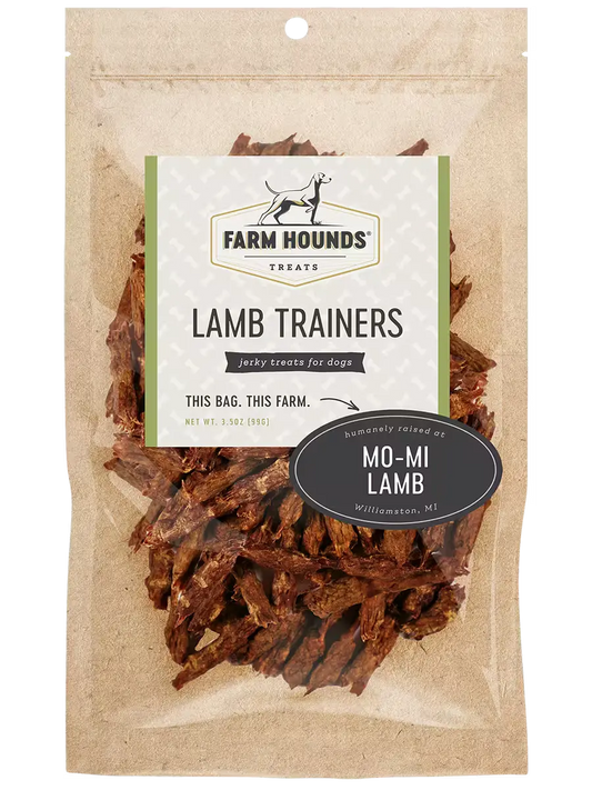 Farm Hounds Lamb Trainers, soft and comfortable trainers for kids, featuring a cute lamb design on the front.