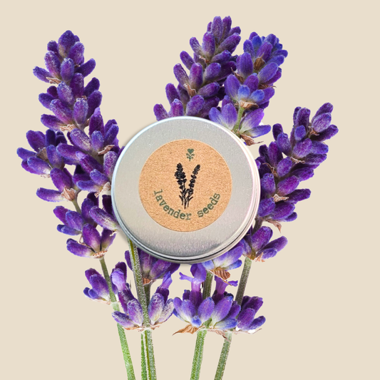 Herb seeds for lavender by Plantflix, showing small lavender seed packets suitable for planting and gardening.