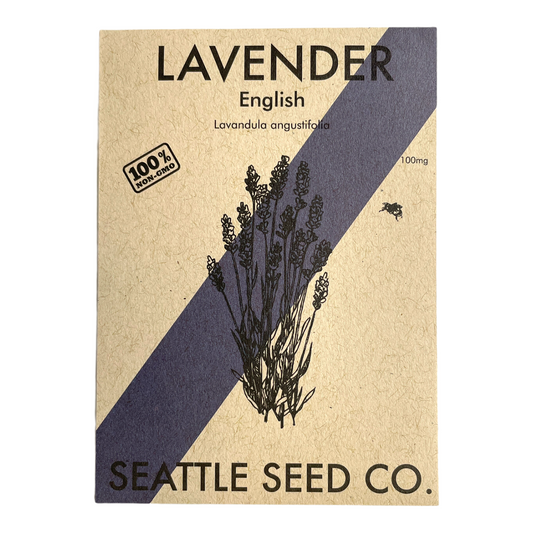 Lavender - English - Blessings Grow Meadows