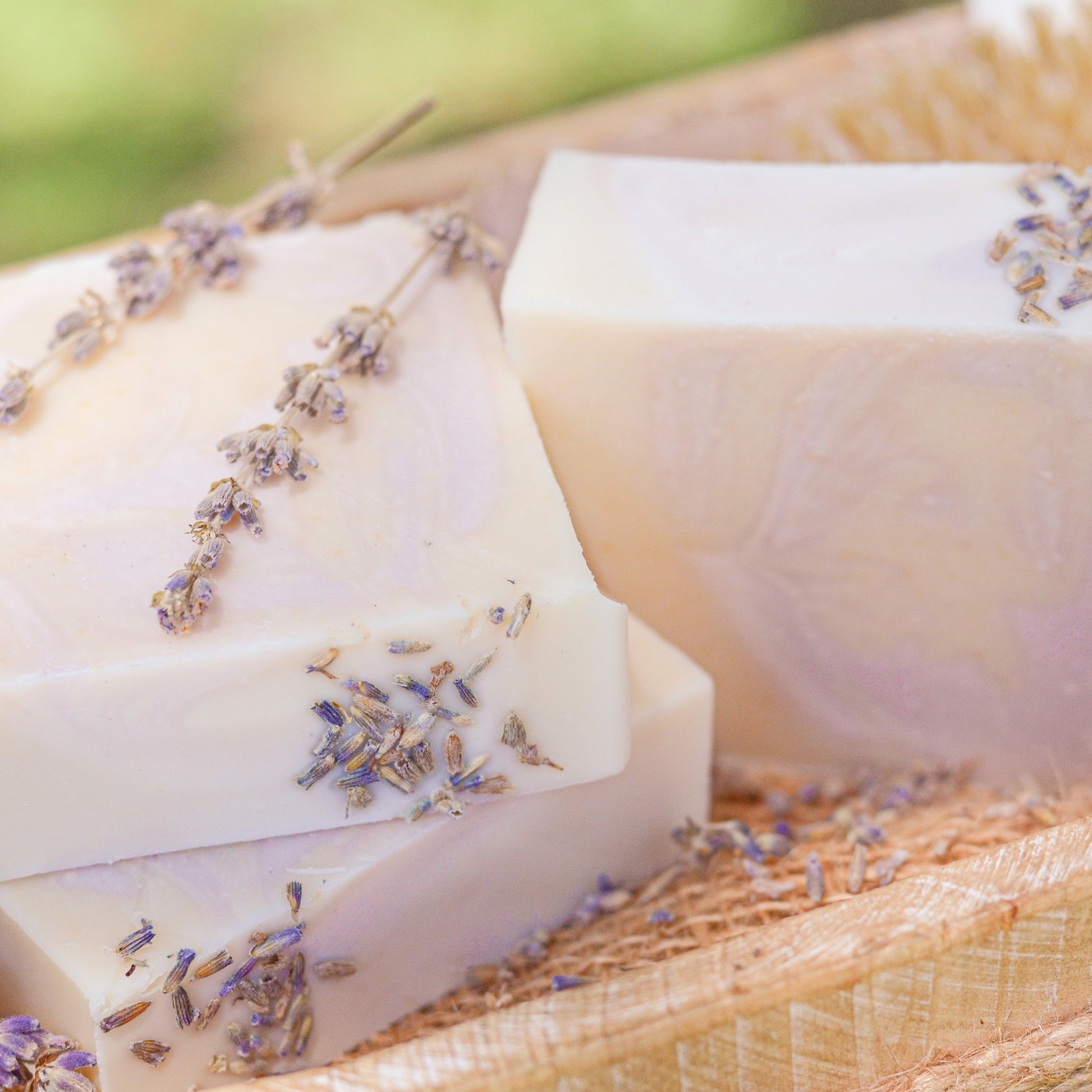 Lavender + Mint Handmade Tallow and Goat Milk Soap Bar - Blessings Grow Meadows
