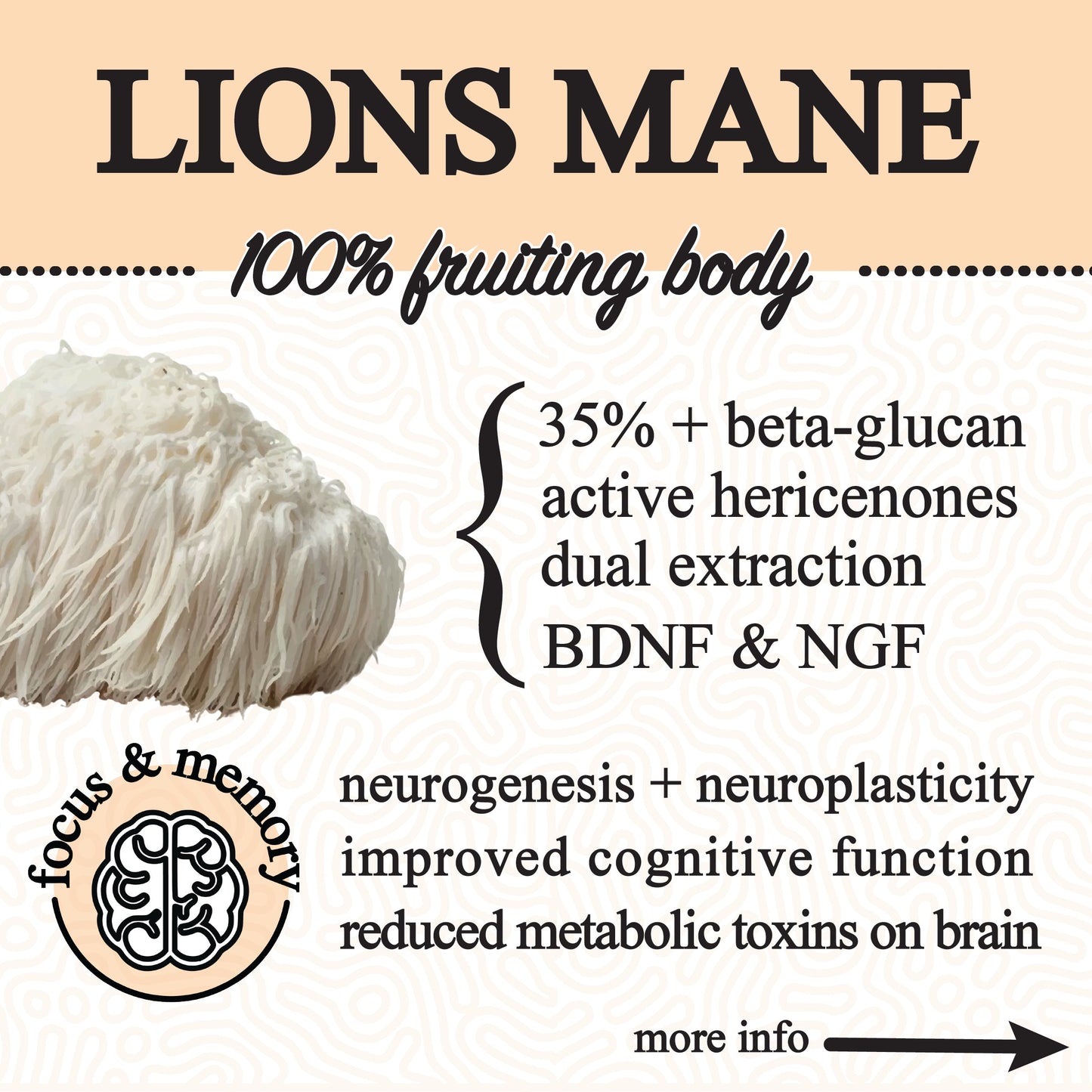 adaptive cacao. performance superfood. - Blessings Grow Meadows