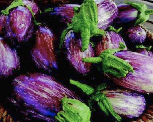 Listada de Gandia Eggplant Seeds - Blessings Grow Meadows