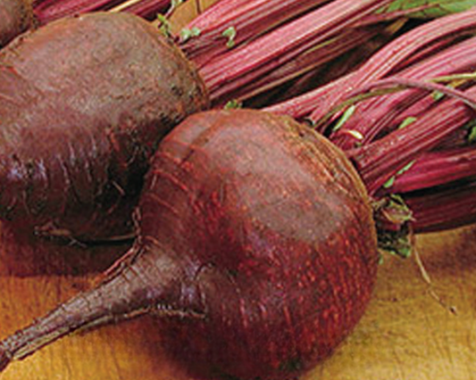 Lutz Green Leaf Beet Seeds - Blessings Grow Meadows