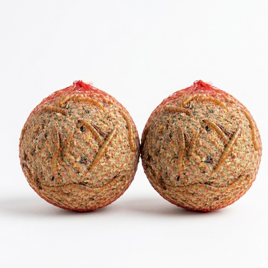 Two Quail & Gamebird Knödel enrichment feed balls with mealworms in a natural setting, designed for quail keepers.