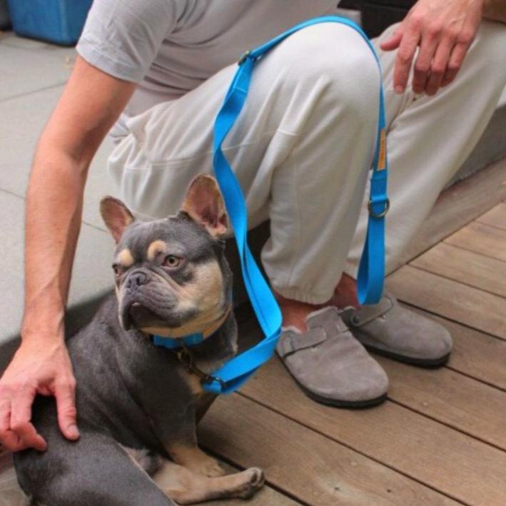 Hemp cotton dog leash by Tilley + Me, durable and lightweight with adjustable length, shown in a natural outdoor setting.