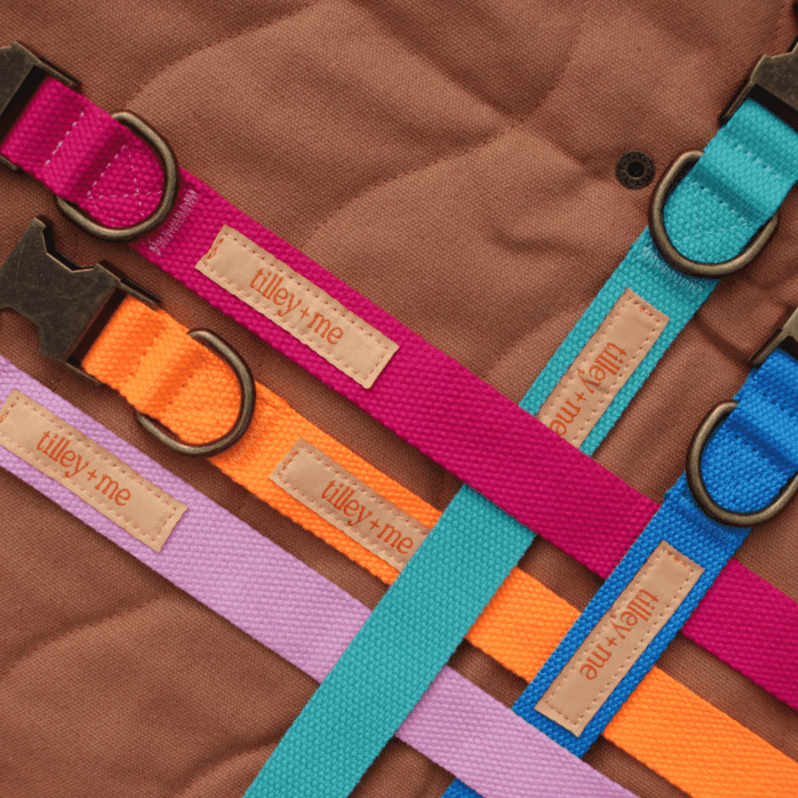 Tilley + Me hemp cotton dog leash, durable and lightweight with adjustable length, showing soft, eco-friendly material and secure clasp.