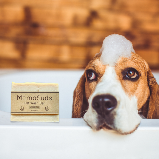 A beagle with soap suds on its head leans on a bathtub next to MamaSuds Pet Wash Bar Unscented, a vegan and biodegradable pet soap. The scene is warmly lit, featuring a wooden-textured background.