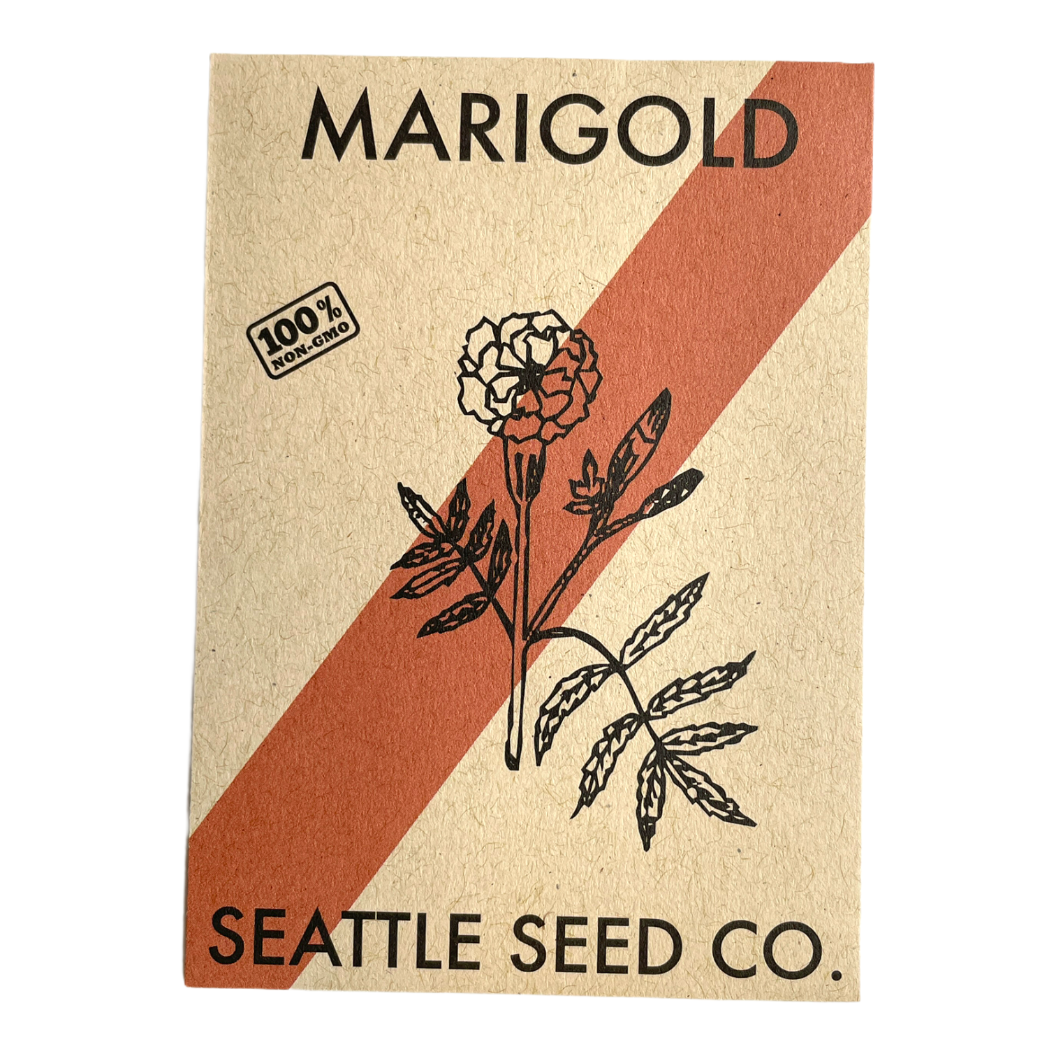 Marigold - Crackerjack - Blessings Grow Meadows