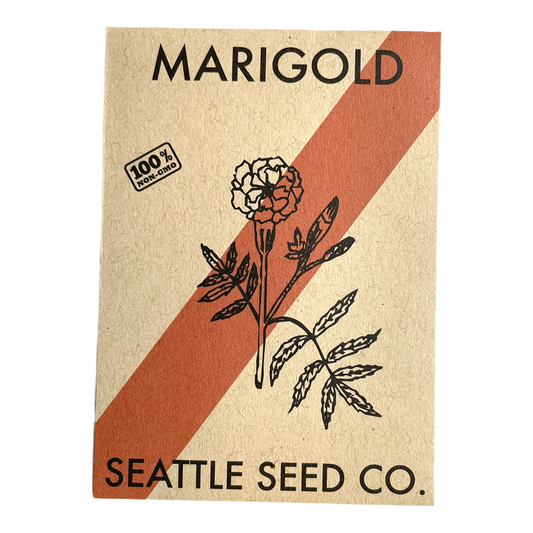 Marigold - Crackerjack - Blessings Grow Meadows