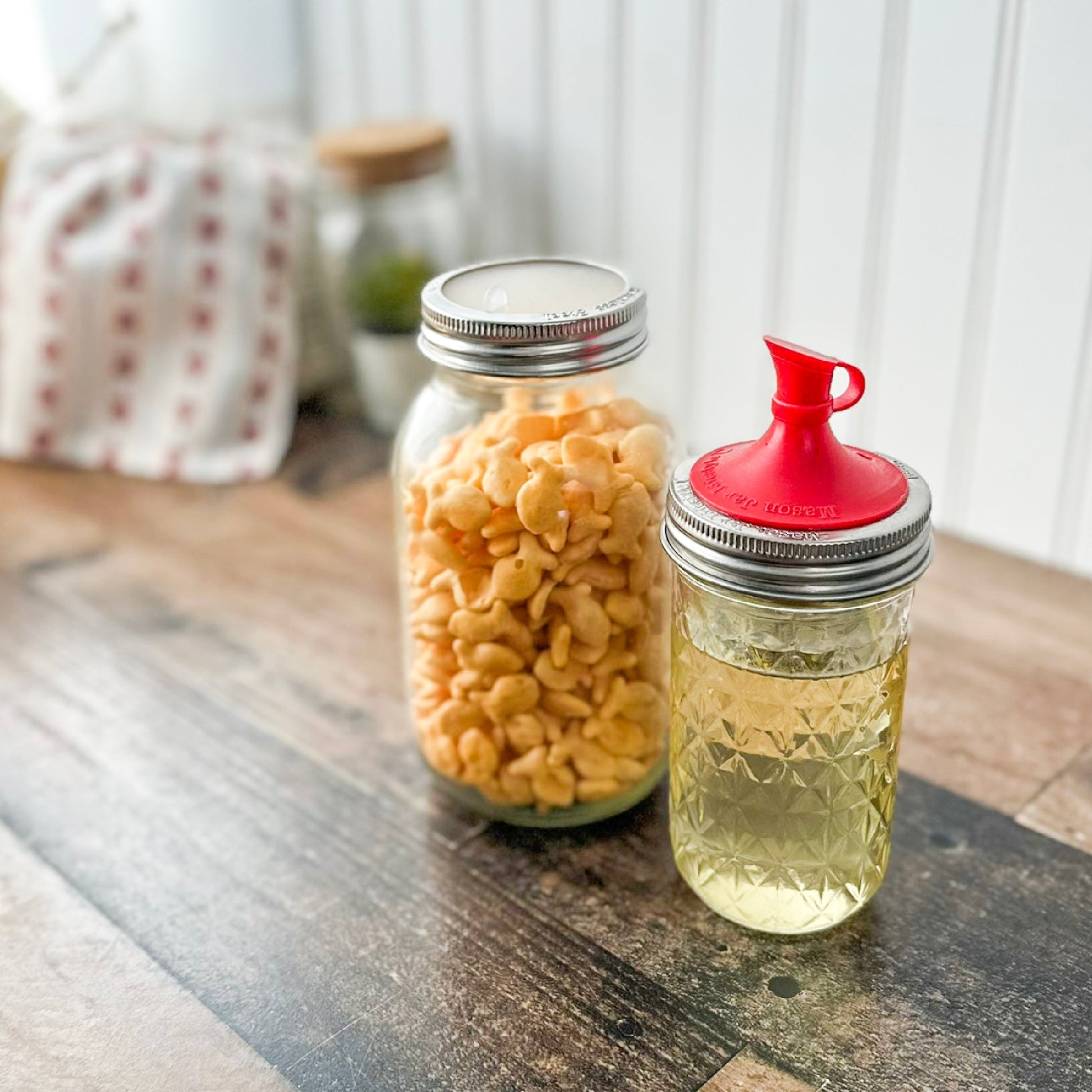 Rust Proof Stainless Steel Bands / Rings for Mason Jars 5 Pack - Blessings Grow Meadows