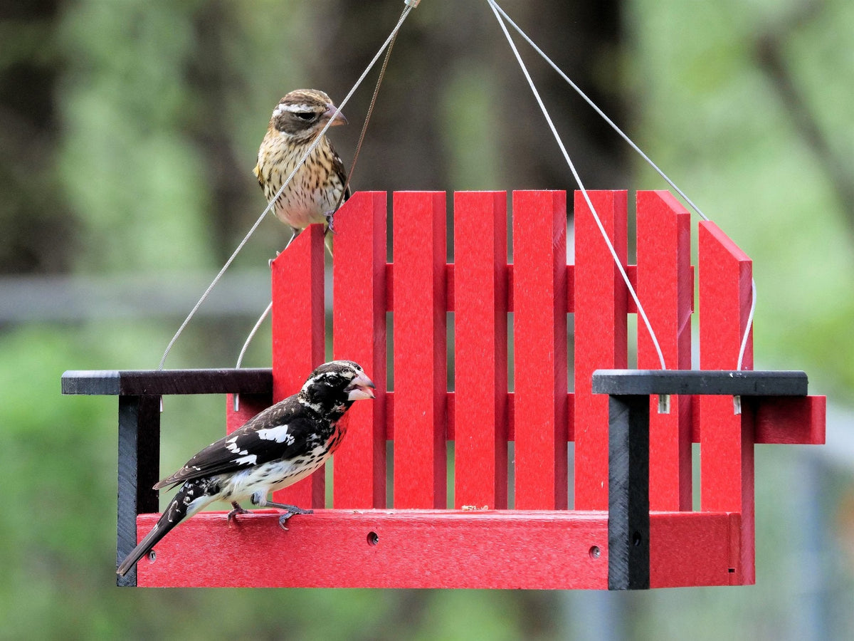 Amish-made porch swing bird feeder crafted from eco-friendly poly lumber, hanging decorative bird feeder for outdoor gardens.