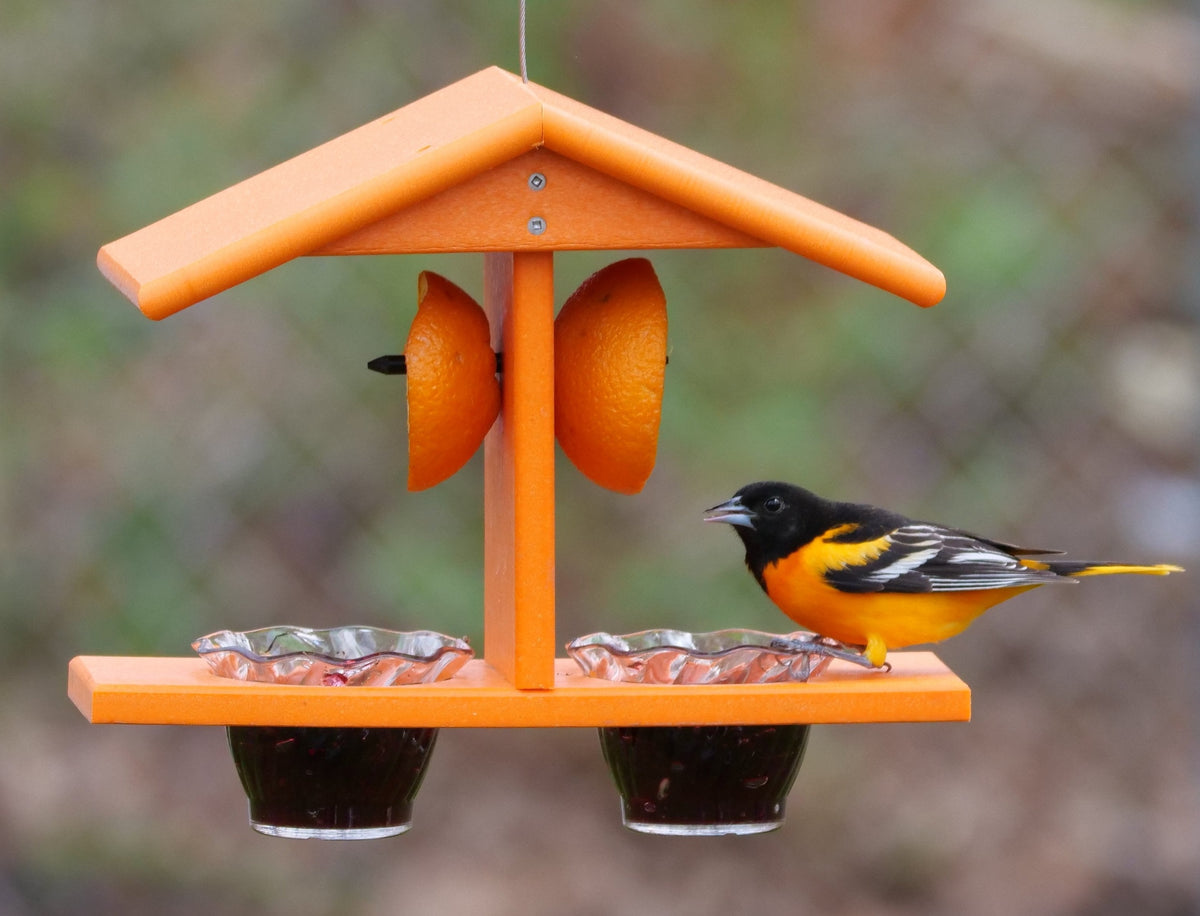 AmishToyBox.com Oriole Bird Feeder with double cups and pegs for orange halves, designed to attract orioles and other songbirds.