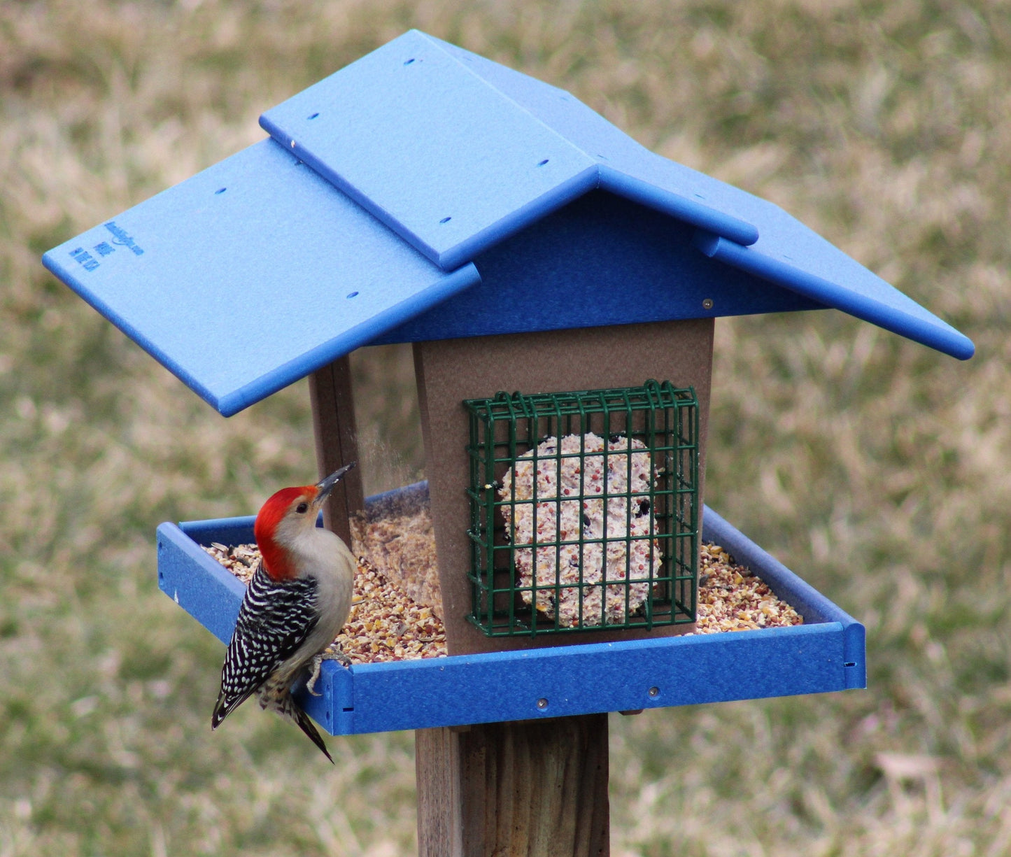 Eco-friendly AmishToyBox.com classic bird feeder with suet holder and peanut feeder, post-mount lawn and patio bird feeding station