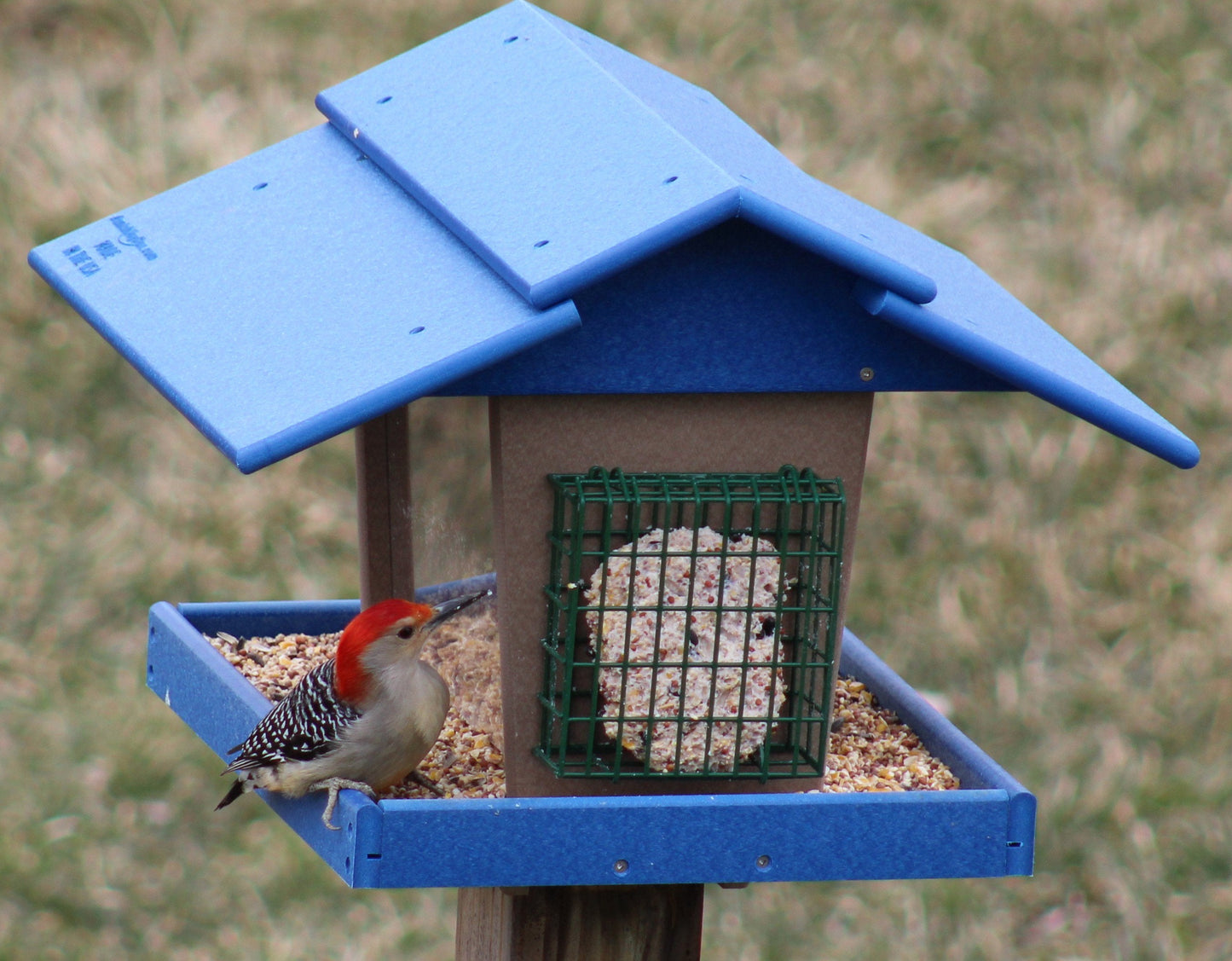 Eco-friendly AmishToyBox.com classic bird feeder with suet and peanut holders, post-mount design for outdoor lawn and patio use.