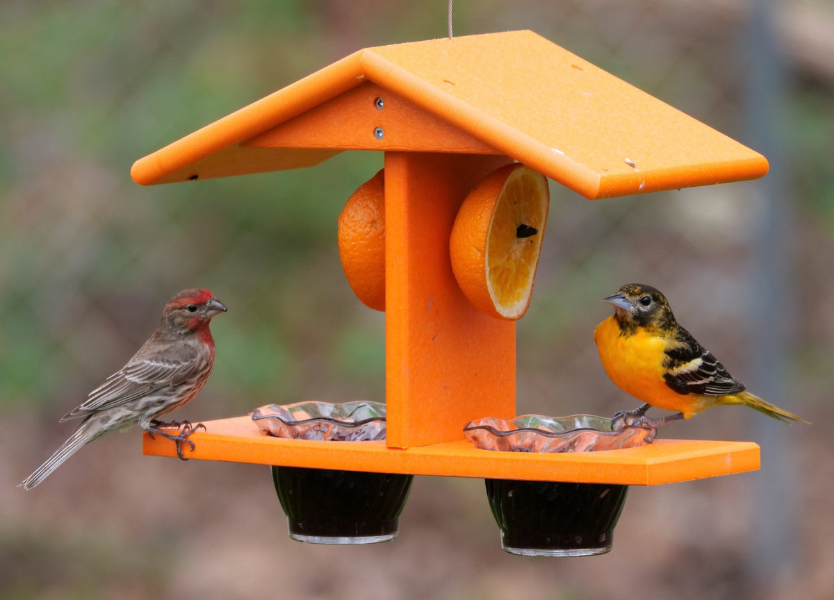 AmishToyBox.com Oriole Bird Feeder with double cups, pegs for orange halves, designed for attracting orioles to backyard gardens.
