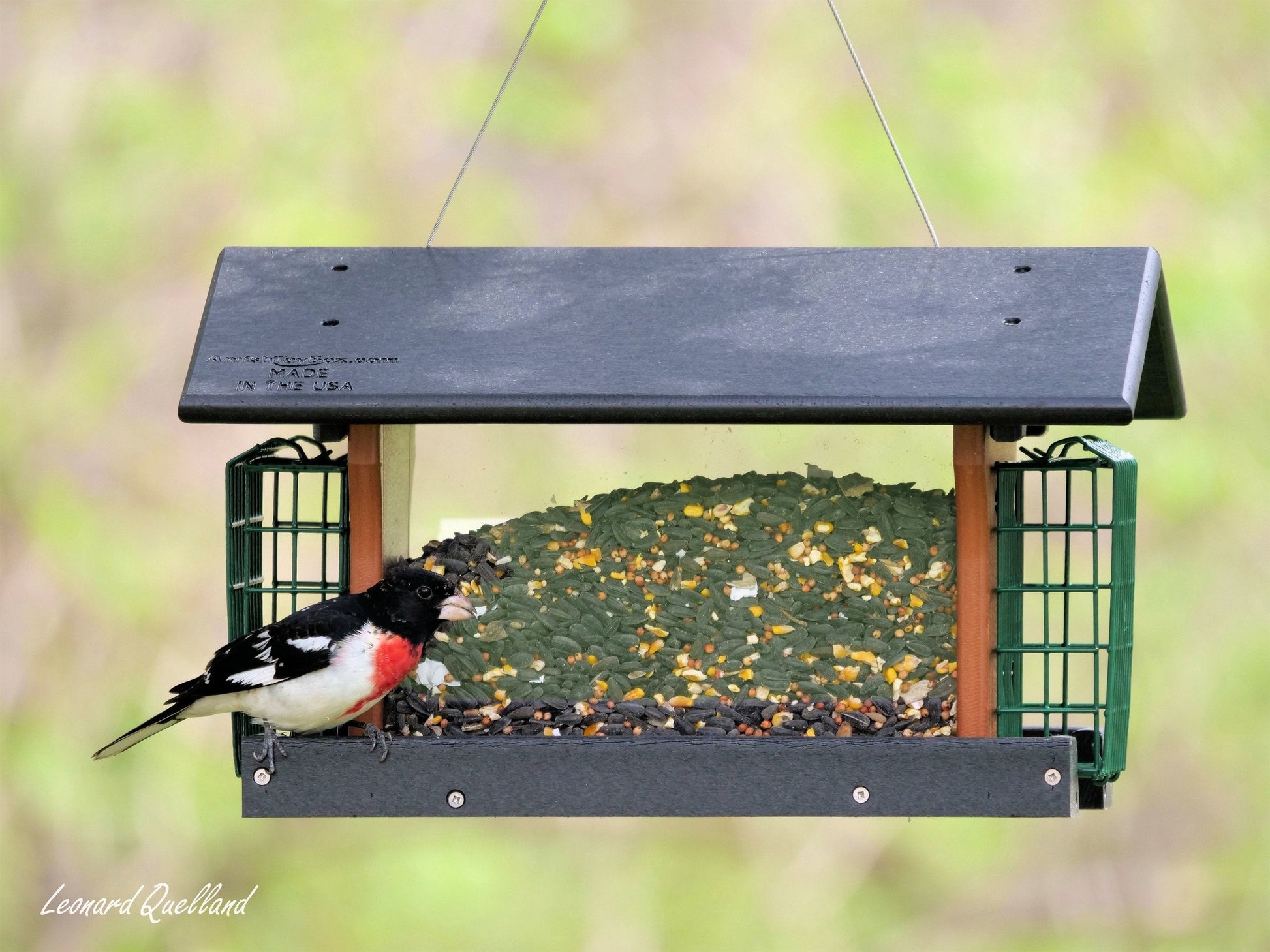 Amish-made deluxe bird feeder with suet holder, constructed from durable poly lumber, suitable for attracting various bird species.