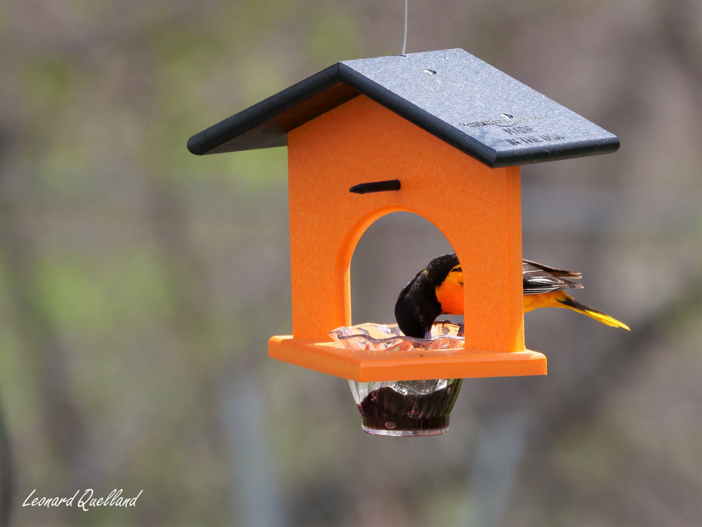 Hanging Oriole Jelly and Orange Bird Feeder, Eco-Friendly Poly Lumber - AmishToyBox.com ~ Blessings Grow Meadows