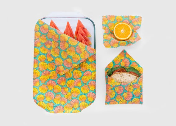 Meli Wraps beeswax roll with shells print, natural beeswax wrap bulk roll for food storage and eco-friendly wrapping.
