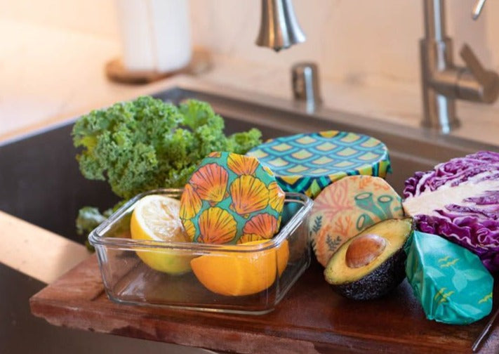 Set of Meli Wraps beeswax food wraps with sunrise shell print in small, medium, and large sizes for food storage.