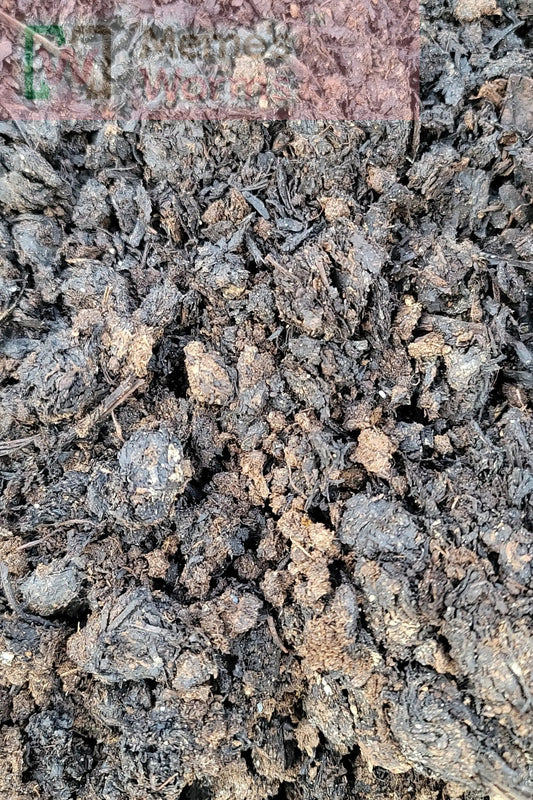 Meme's Worms mushroom compost in a 1-gallon bag, rich organic soil for gardening and mushroom cultivation.