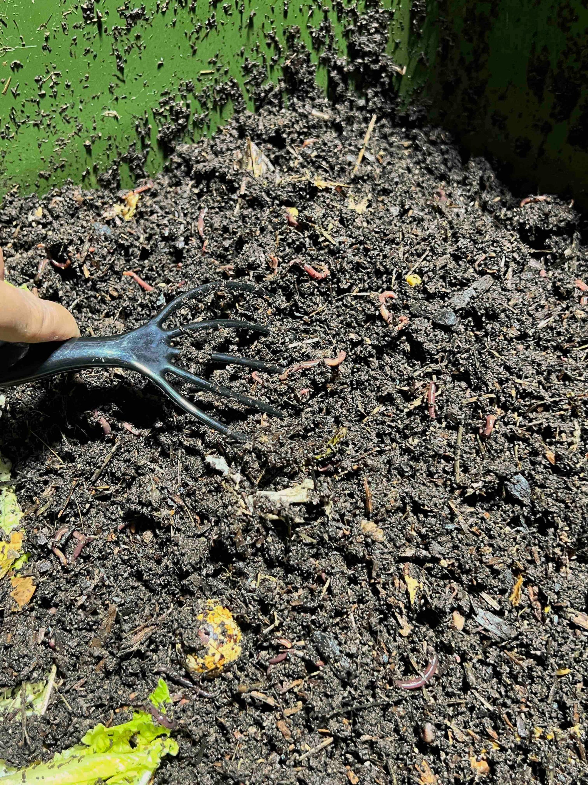 A hand uses the Memes Worms Worm Comb garden fork to turn dark compost with red worms and food scraps in a green bin, aerating the mix. Lettuce and fruit are visible in the soil.