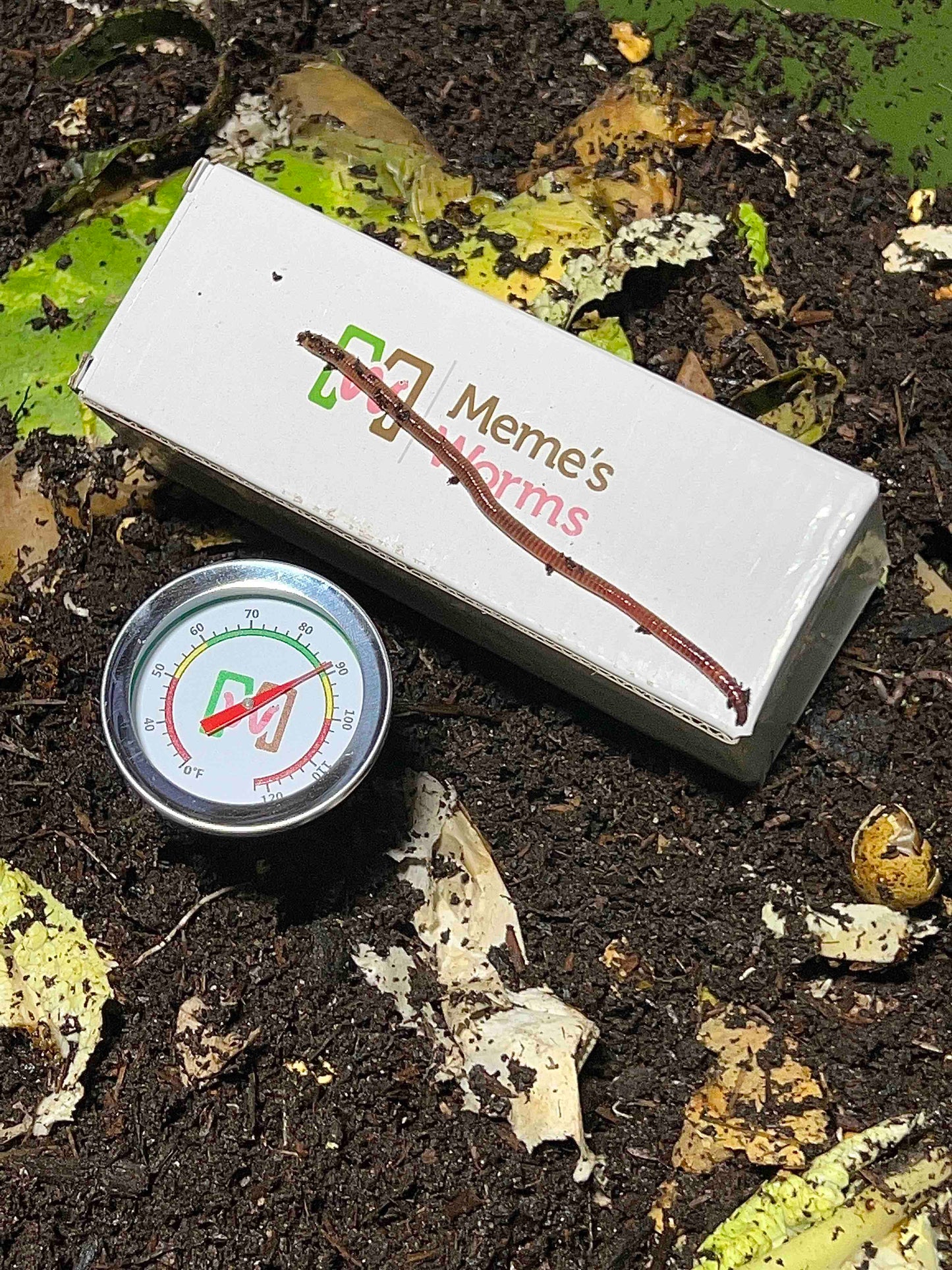 A long earthworm stretches across a white Memes Worms box beside the Memes Worm Thermometer, which monitors temperature in dark, moist soil with scattered yellow-green leaves around the worm farm.