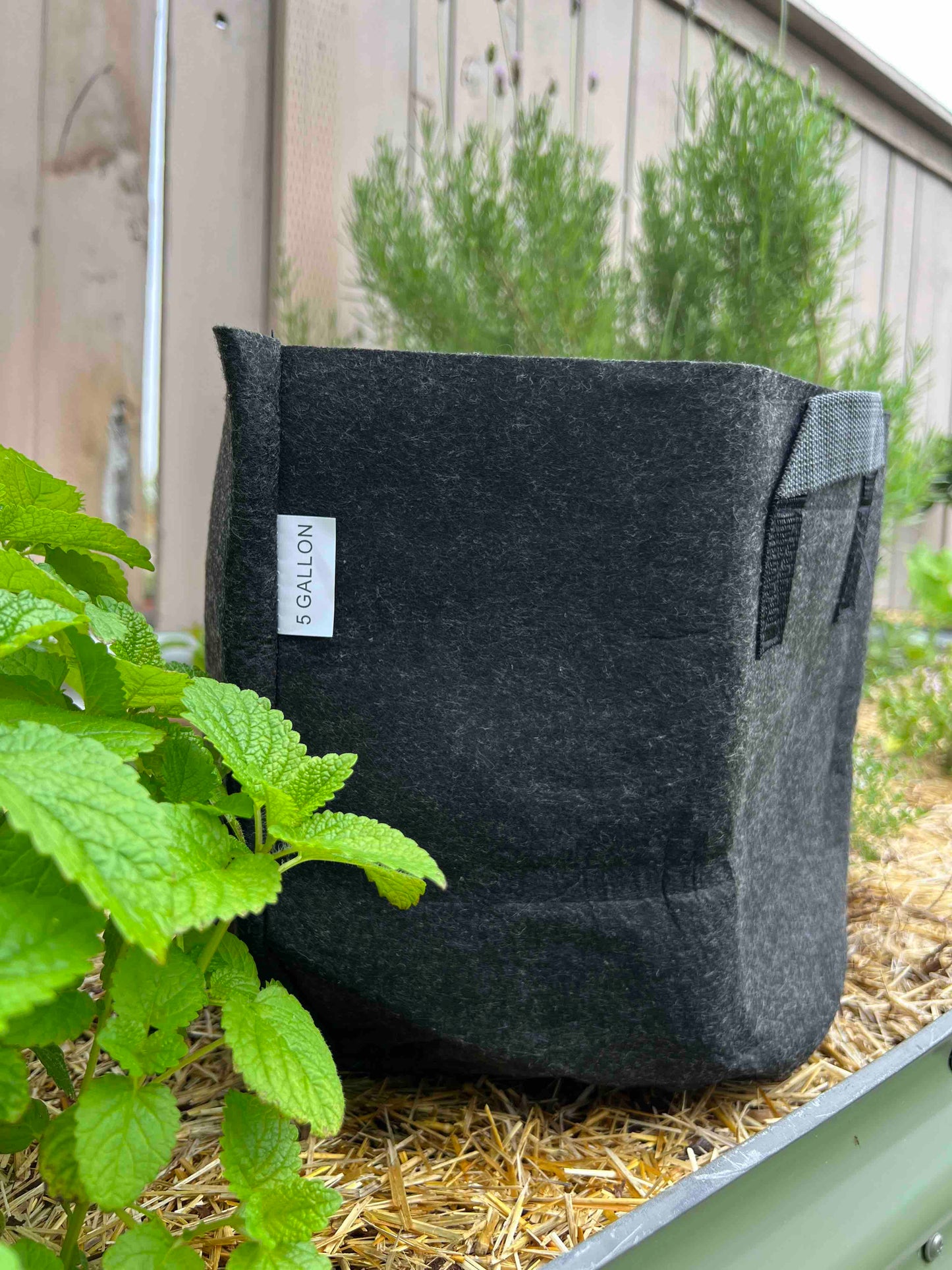 Set of five Meme's Fabric Worm Bins for composting, durable fabric worm bins by Meme's Worms, 3-gallon size each.