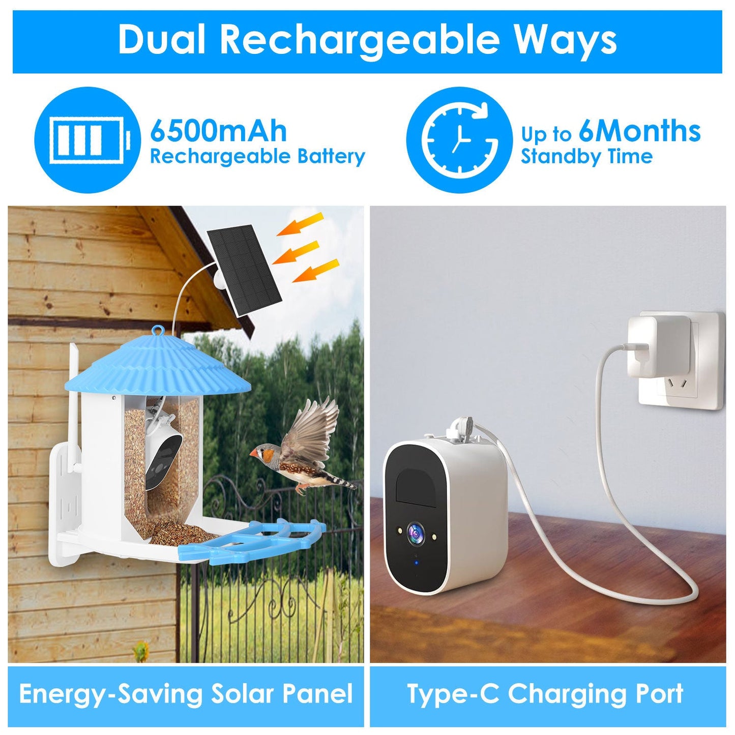 Solar Powered Smart Bird Feeder 2K Bird Watching Camera With PIR Motion AI Birds Species Identify Two-Way Audio Real-Time App Notification Capture Video Gift For Bird Lover - Blessings Grow Meadows