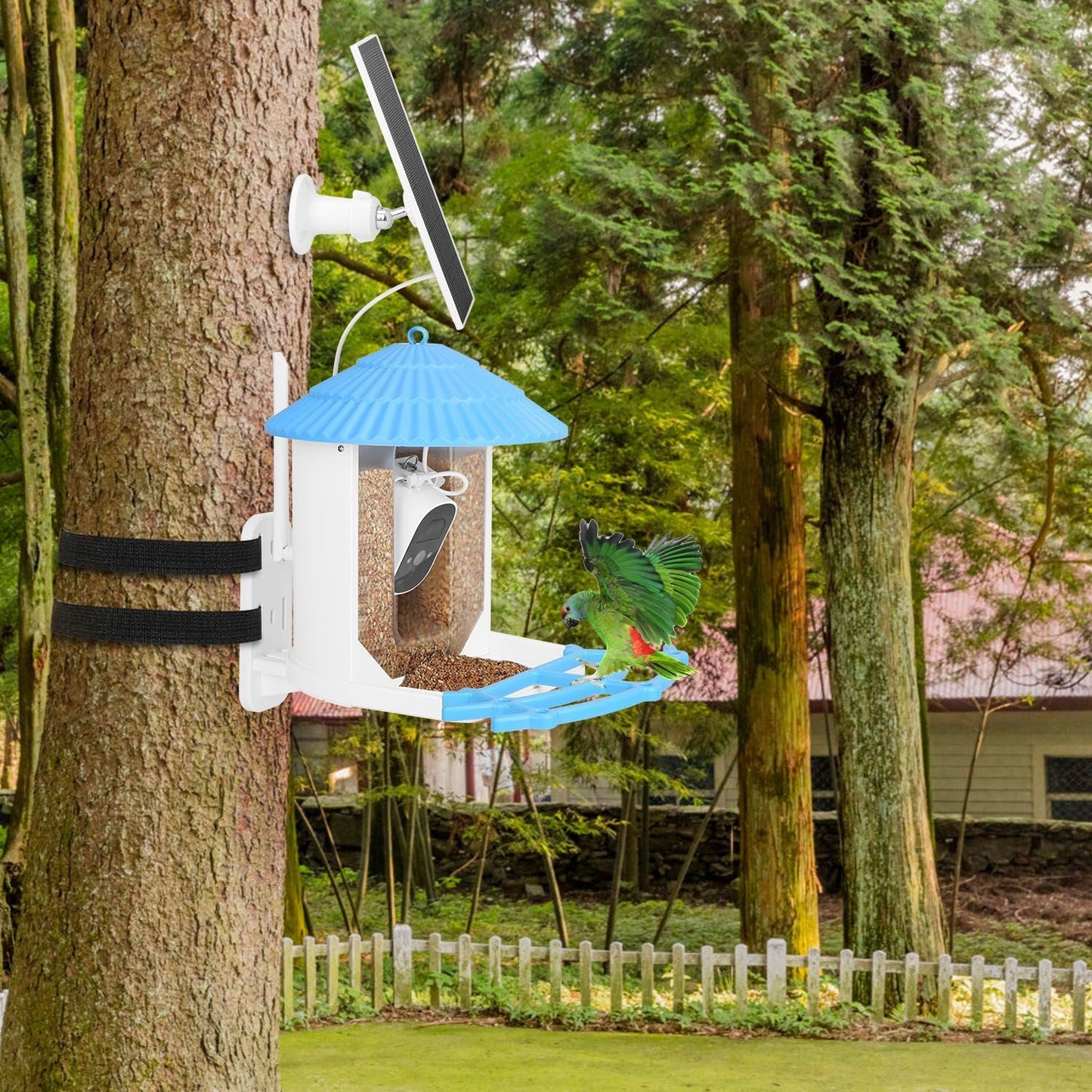 Solar Powered Smart Bird Feeder 2K Bird Watching Camera With PIR Motion AI Birds Species Identify Two-Way Audio Real-Time App Notification Capture Video Gift For Bird Lover - Blessings Grow Meadows