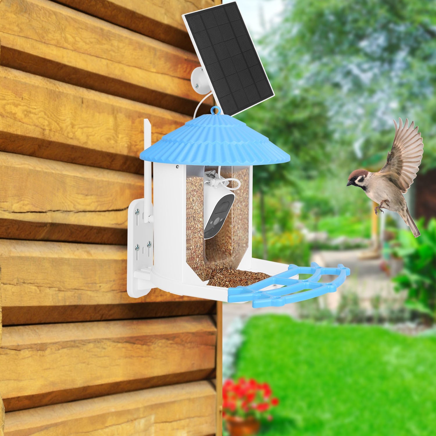 Solar Powered Smart Bird Feeder 2K Bird Watching Camera With PIR Motion AI Birds Species Identify Two-Way Audio Real-Time App Notification Capture Video Gift For Bird Lover - Blessings Grow Meadows