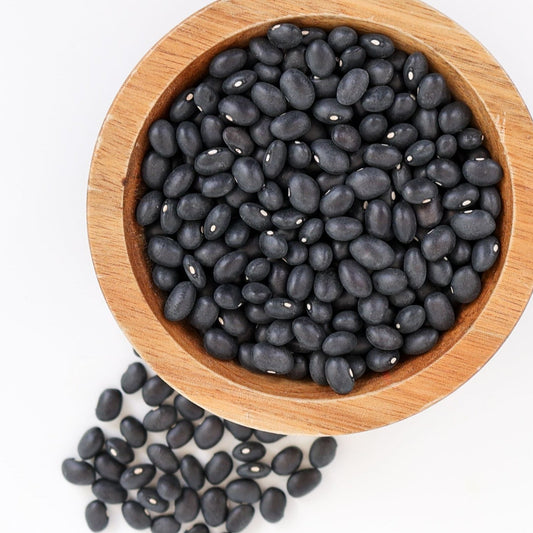 Midnight Black Turtle Bean (Bush) - Blessings Grow Meadows