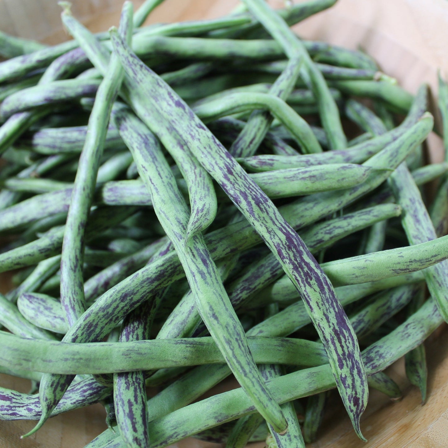 Pole Rattlesnake Bean from MIgardener, showing green bean pods with distinctive purple and white mottled skin.