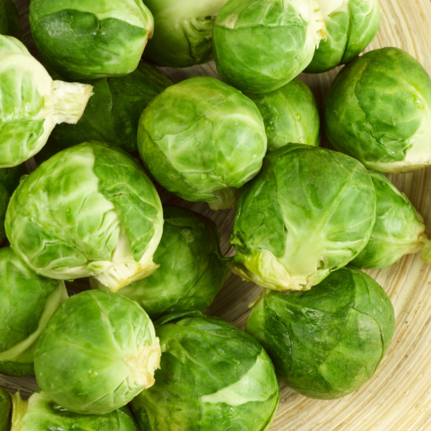 Catskill Brussel Sprout - Blessings Grow Meadows