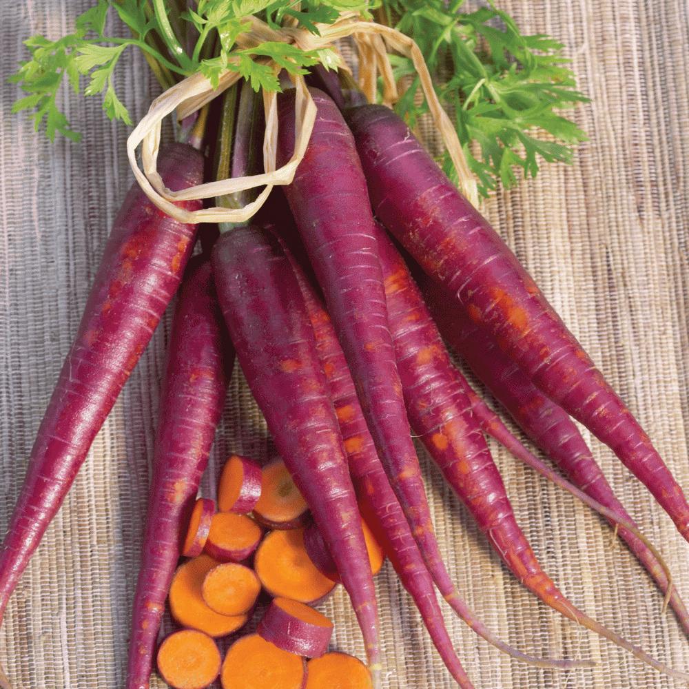 Purple Carrot - Blessings Grow Meadows