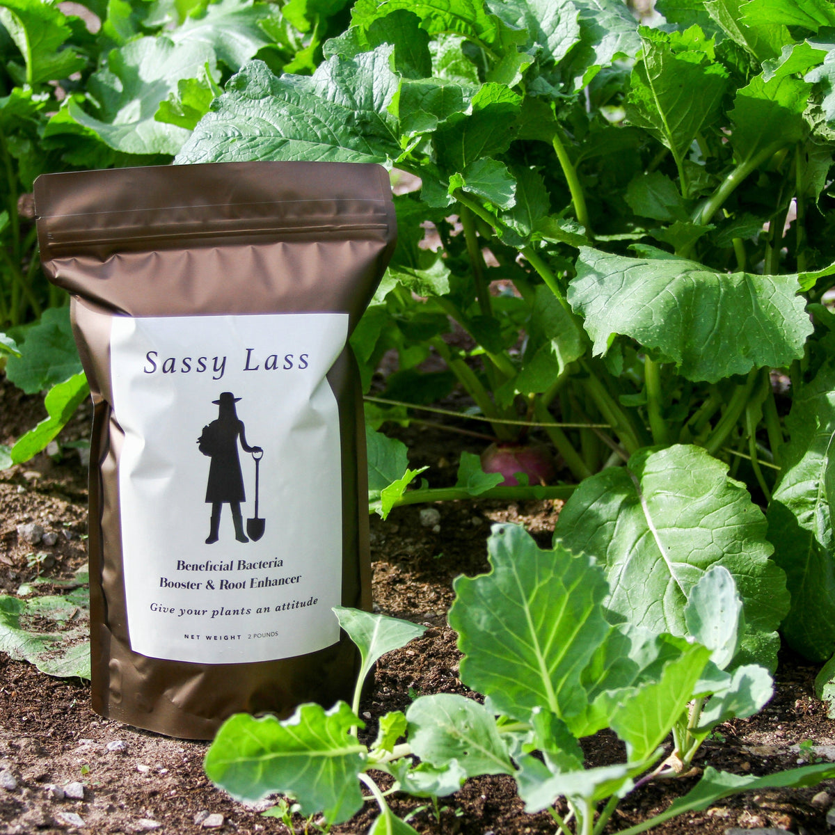 Sassy Lessb Sassy Lass - Beneficial Soil Microbe Booster - 2lb