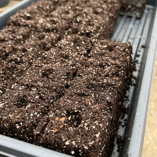MIgardener Soil Blocker for home and garden, showing four compacted soil blocks used for planting or gardening.