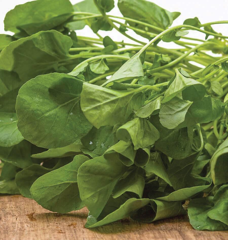 Upland Cress - Blessings Grow Meadows