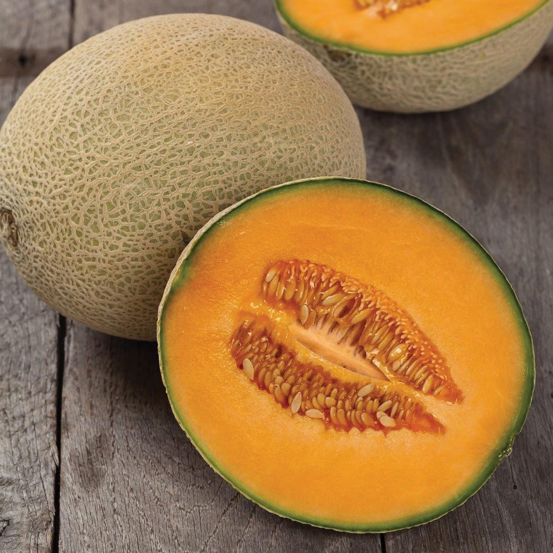 Hales Best Jumbo Cantaloupe Melon by MIgardener, ripe orange flesh with green rind, showcasing the large, juicy melon on a vine.