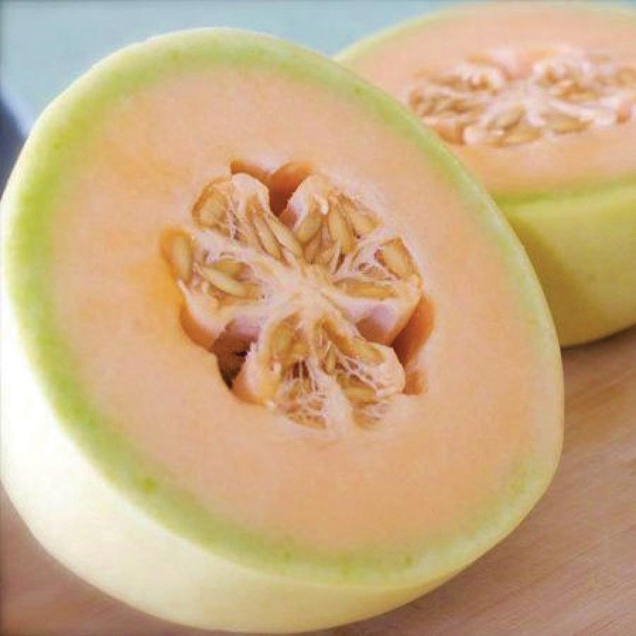 Orange flesh honeydew melon from MIgardener, showing its round shape and vibrant orange interior flesh.