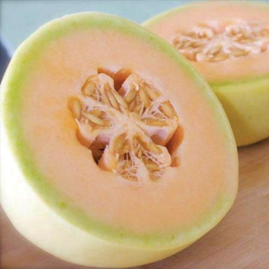 Orange Flesh Honeydew Melon - Blessings Grow Meadows