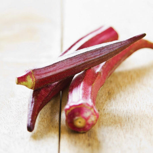 Red Burgundy Okra from MIgardener, showcasing vibrant, elongated green pods with reddish-purple hues on a plant.