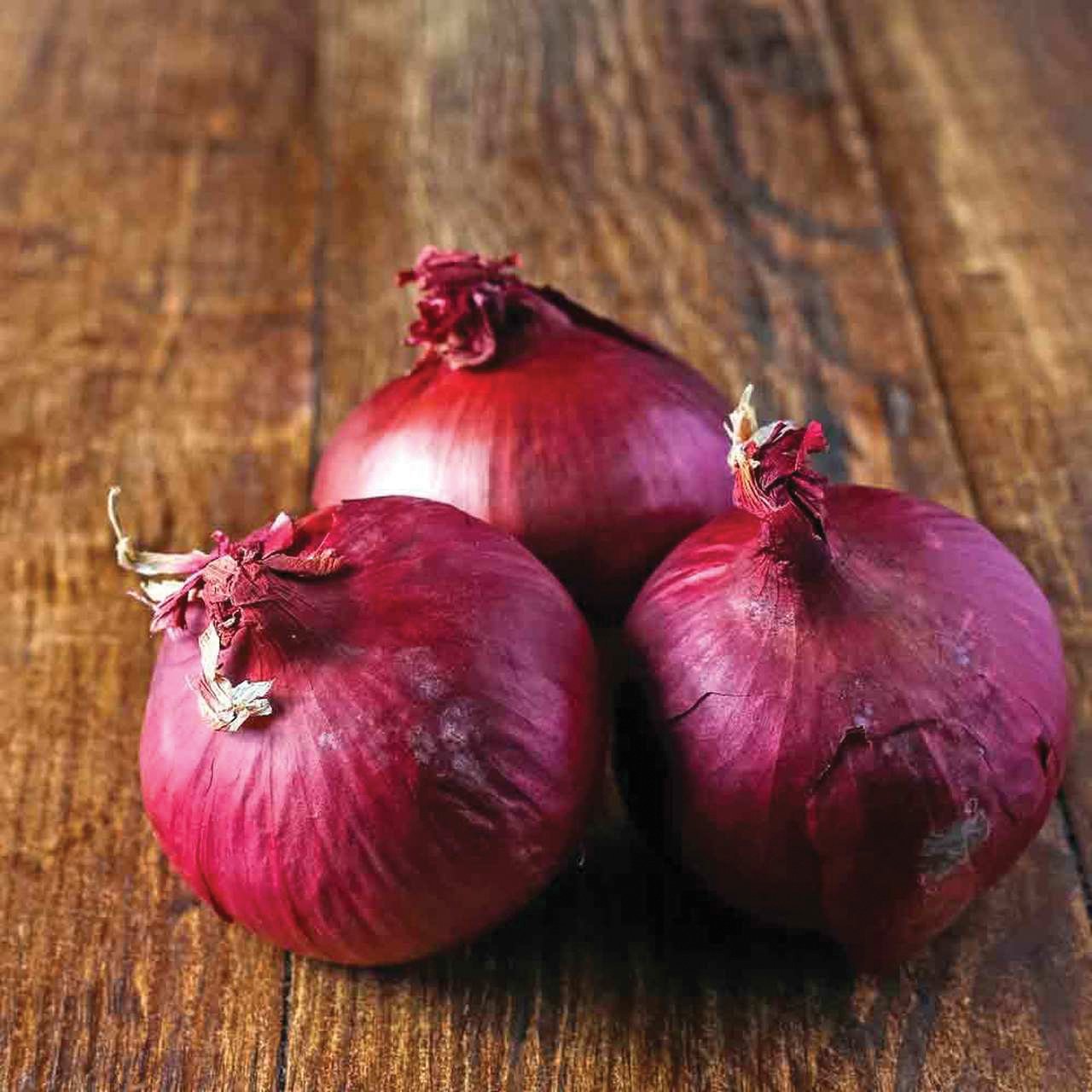 Red Wethersfield Onion - Blessings Grow Meadows